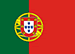 Bandeira de Portugal, em verde e vermelho, com um simbolo em amarelo